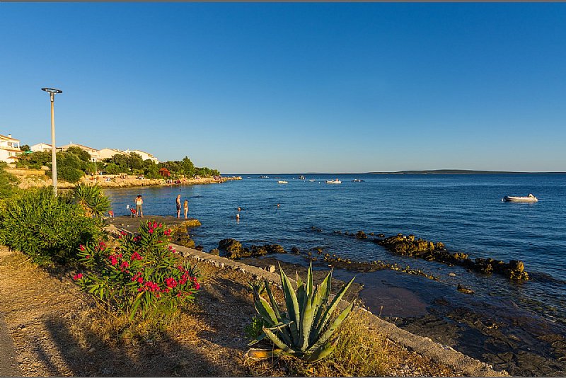 Mandre auf der Insel Pag - Pag Kroatien - Wettervorhersage - Šugar Mandre